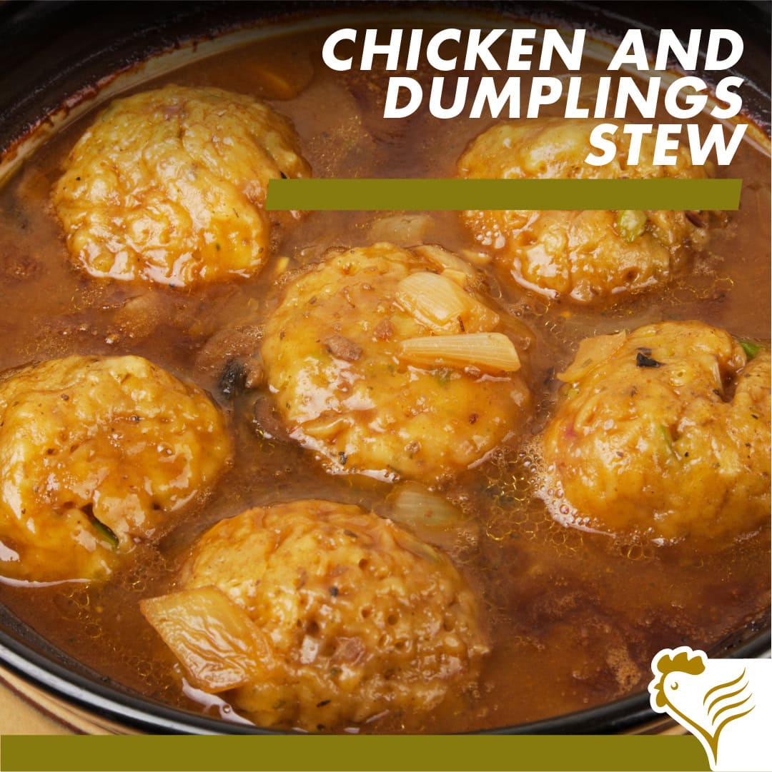 Chicken & Dumpling Stew Recipe