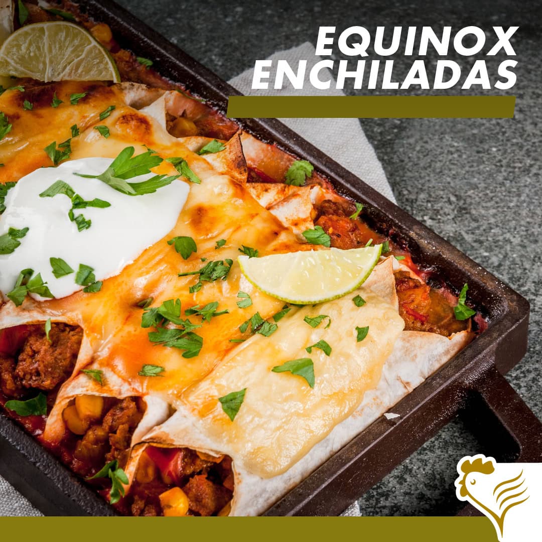 Cheese Chicken Enchiladas