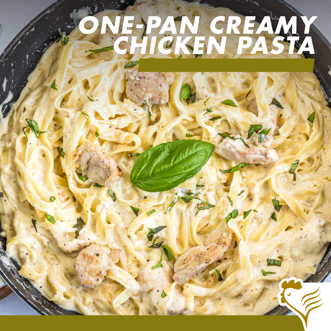 Creamy Chicken Pasta 