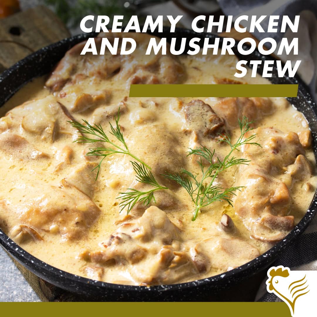 Creamy Chicken Mushroom Stew